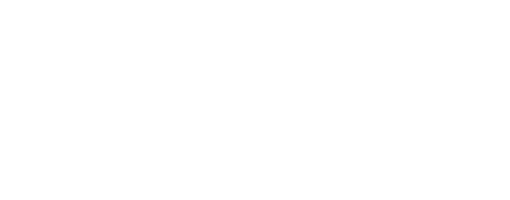 Logo Botnicks