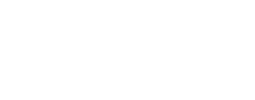 Logo DataSpoc
