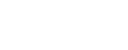 Logo Maxbot